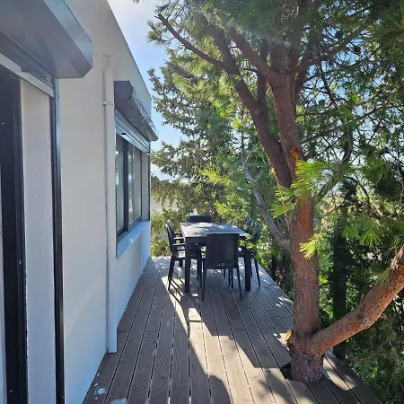 Luxury New Summer House